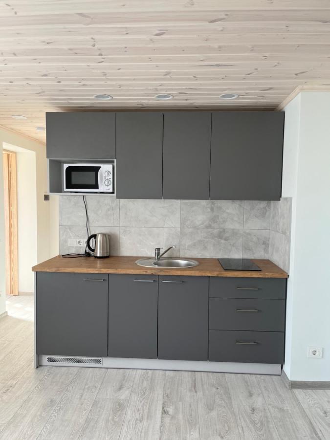 Ska Anyksciai Apartment Luaran gambar